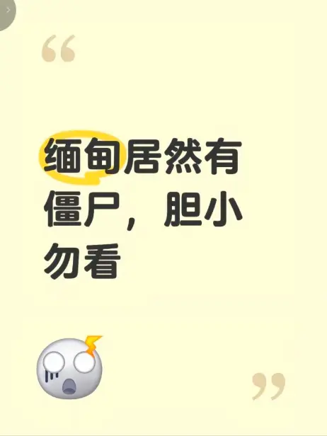 《缅甸僵尸出土事件》高清无删减免费播放 - 揭秘缅北神秘僵尸出土真相 - 缅甸僵尸出土事件视频全集在线观看