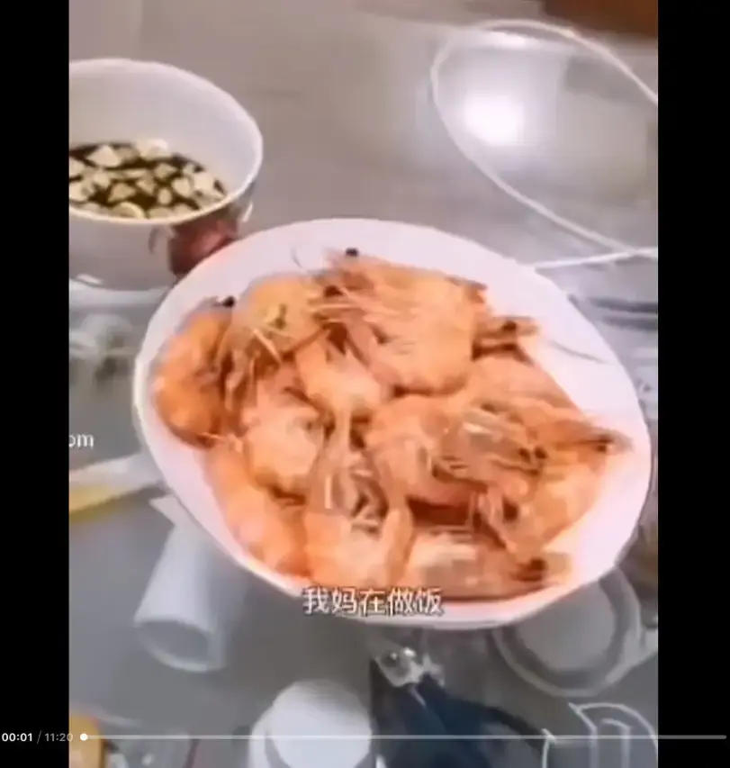 《大虾母子厨房完整版》高清视频在线观看-完整版梗解析猎奇视频免费播放