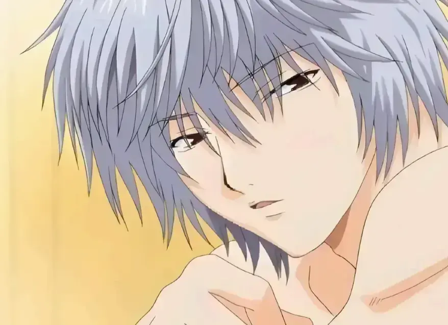 双男主动漫《幸福花园OVA纤细的爱》1080P高清在线播放-番剧全季无广告流畅点播-VS影院