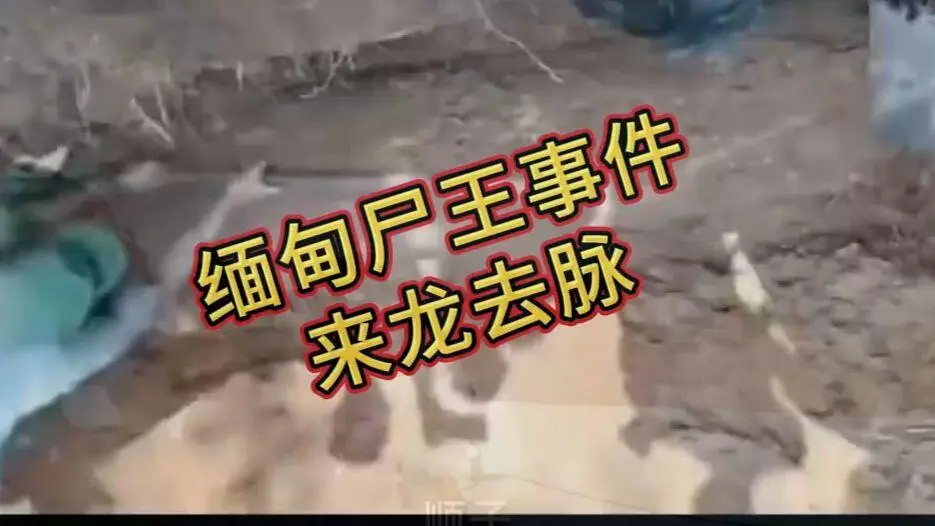 《缅甸僵尸出土事件视频》高清无删减完整版资源下载 - 在线观看免费播放缅北僵尸出土事件始末原视频
