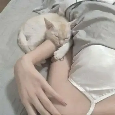 森泽佳奈高清全集无删减中文版在线观看-1080P蓝光画质无水印-网盘迅雷高速下载资源